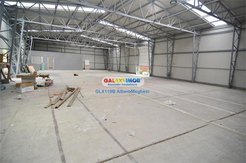 Inchiriere Hala 450 mp Popesti Leordeni platforma industriala - 3