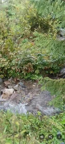 TEREN DORNA ARII - 3