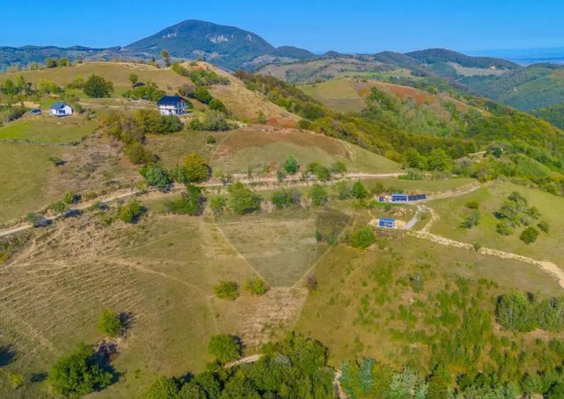 Teren extravilan 6,014mp | Holbav | BRASOV | COMISION 0| - 11