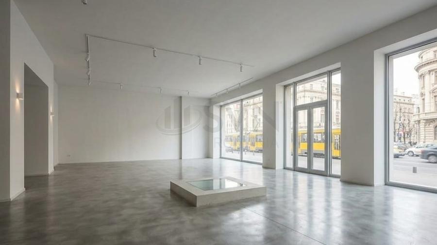 REC3001720 Spatiu comercial Piata Romana - 1