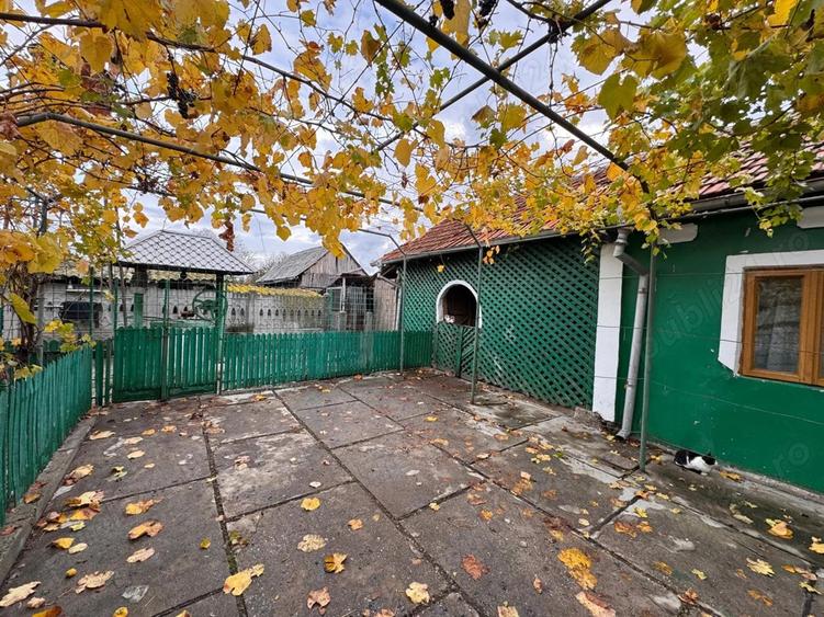 Casa de vanzare Bistrita Noua - 9