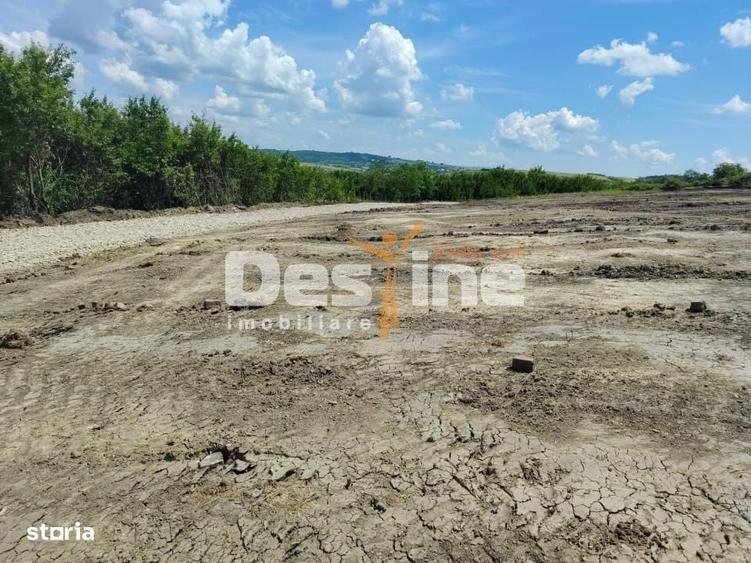 TEREN intravilan - PROSELNICI 655 MP, 19.900 EURO - 4