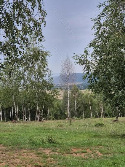 Teren extravilan 13.800 mp Ra?nov, Glajarie priveli?te superba, oportunitate de investi?ie - 10