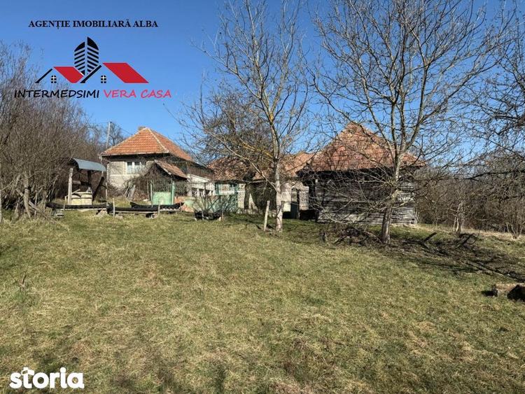Casa si anexe cu un teren de 7701 mp de vanzare in Stauini Jud Alba - 1
