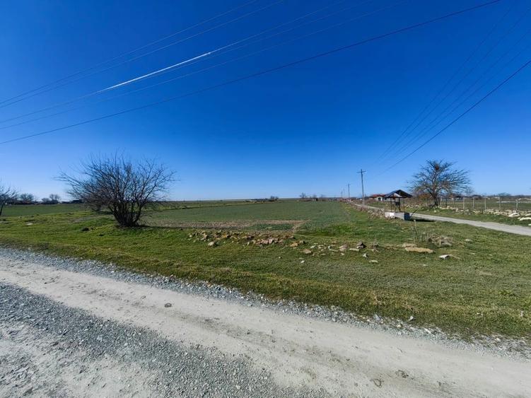 Teren 7.061 mp de vanzare Dropia, Tortomanu | 5/mp | Parcelabil - 7