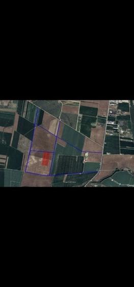 Tancabesti 50,000mp,Golf,autostrada A0 - 1