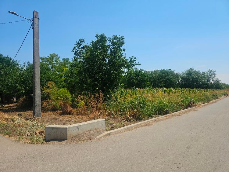 Vand teren intravilan  - 4