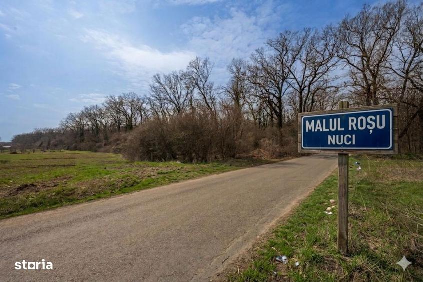 Nuci - Balta Neagra, Lot 3900 Mp, La Padure! - 3