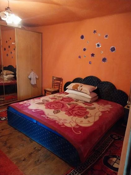 casa de vinzare sat Tohesti com Halmagel jud Arad - 5