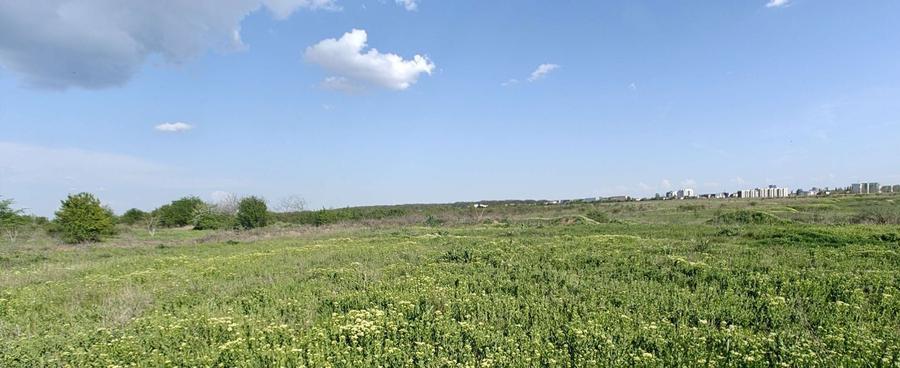 Teren direct proprietar - 5