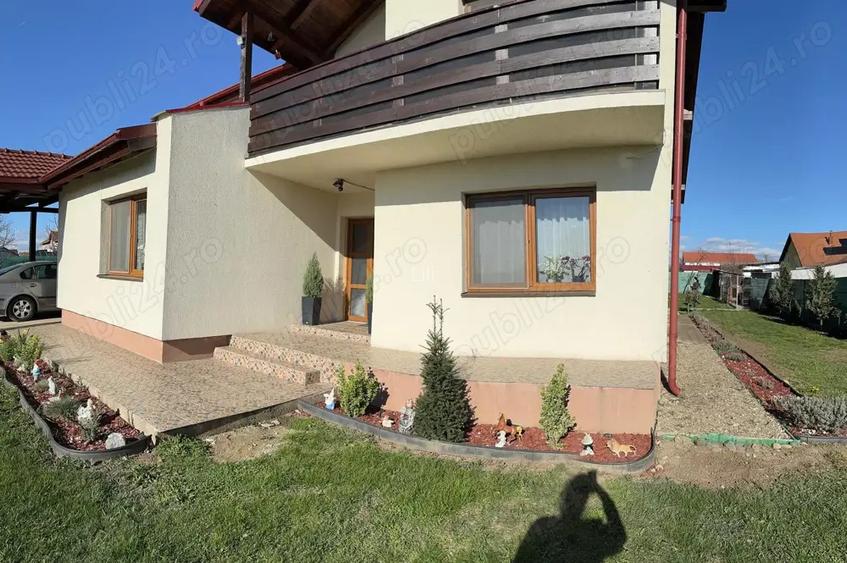 Vand casa Vinga Vand casa Vinga