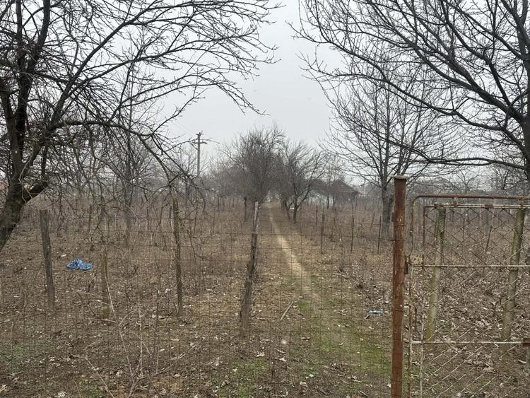 Teren intravilan, Cosoveni, 1200 mp, front 24m - 3