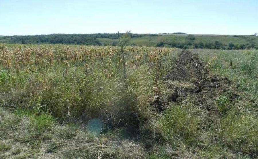 Teren extravilan arabil, situat in Oravita, Jud Caras-Sev... - 2