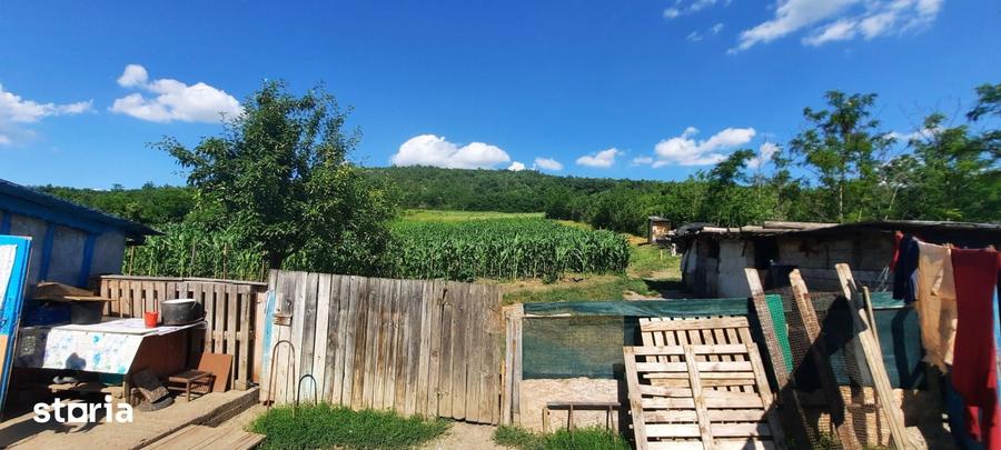 Casă cu 2 camere cu Teren 3000 Mp în Erbiceni