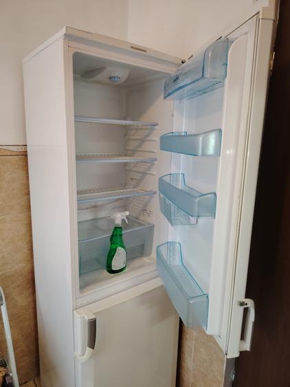 TINERETULUI-FACULTATI - 9