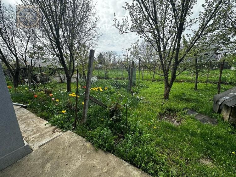 Casa/Villa Frumusani - 1000mp curte - 12