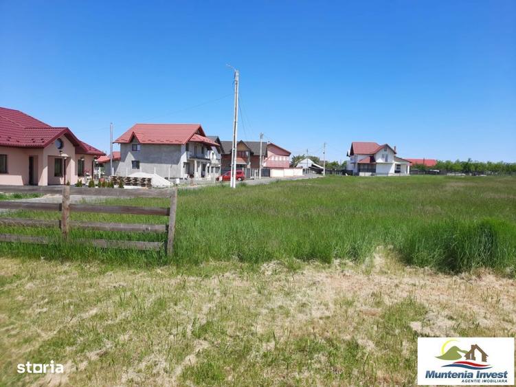 Teren 850 mp,Albota(Morlovani) - 1