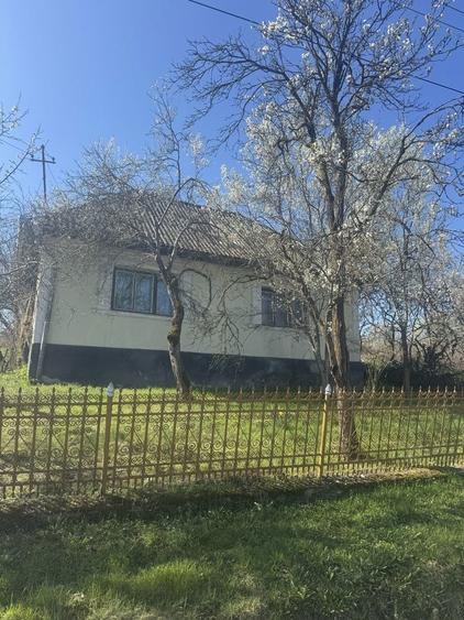 Casa si teren(35 arii) de vanzare la 40 km de Baia Mare - 2