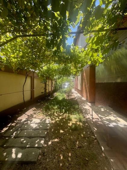 Duplex de vanzare,Domnesti - 20