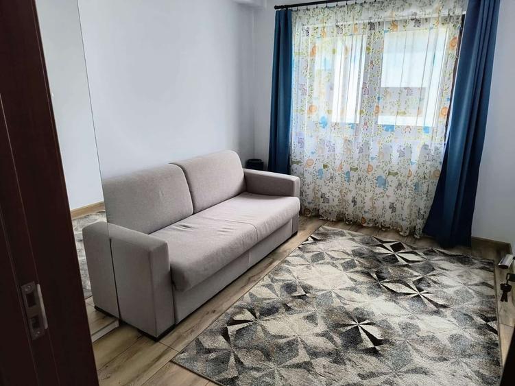 Casa individuala spatioasa, cu teren, Sura Mica - 10