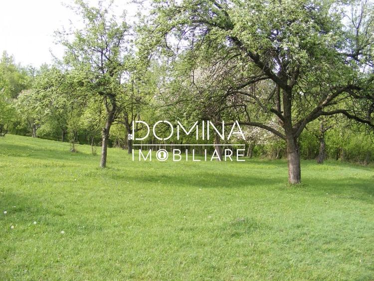 Inchiriere loturi de teren in Comuna Runcu – sat Sanatesti - 4