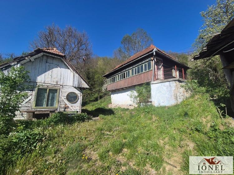 Vanzare casa in Muntii Apusenii - Ocolis - 9