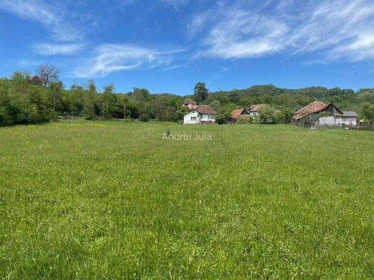 Casa de vanzare sat Ribi?a cu 50 de ari de teren Casa de vanzare sat Ribi?a cu 50 de ari de teren
