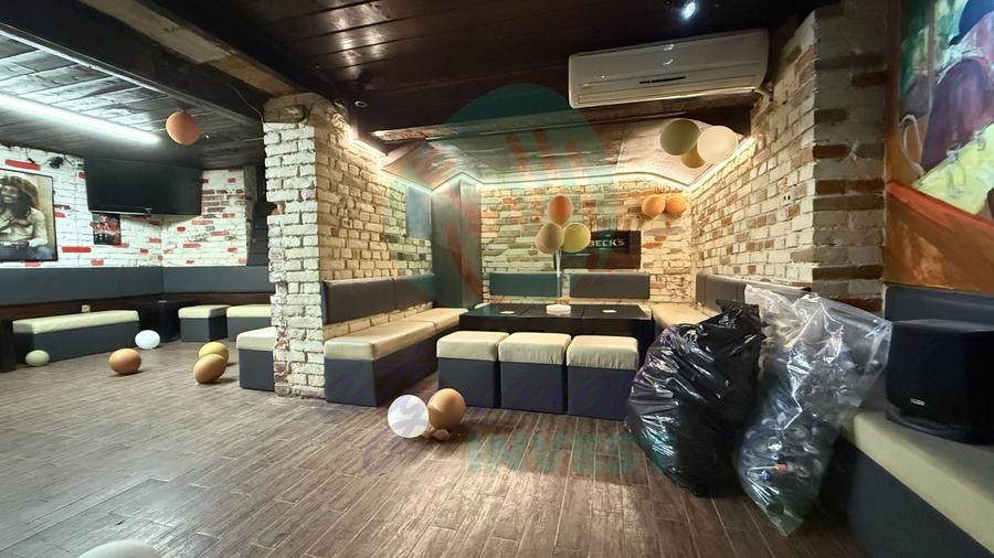 Grădina Icoanei – vilă cu potențial multiplu - 13