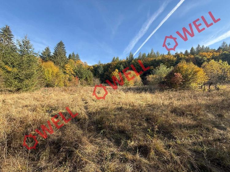 Teren intravilan de 2500 mp, în Periferie