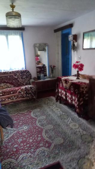 Casă cu 3 camere cu Teren 7490 Mp în Agăș
