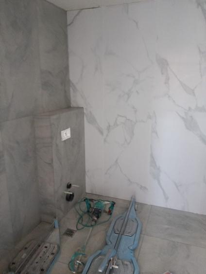 Casă cu 4 camere în Becicherecu Mic