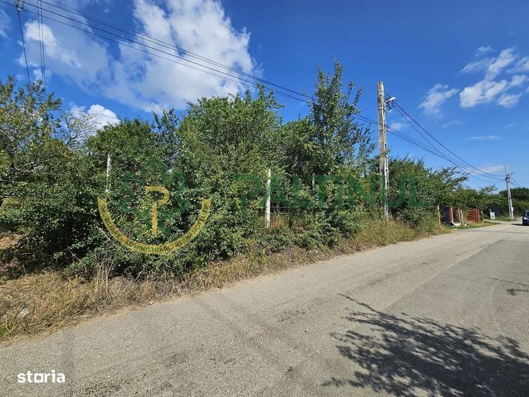 Spațiu comercial, în Câineni