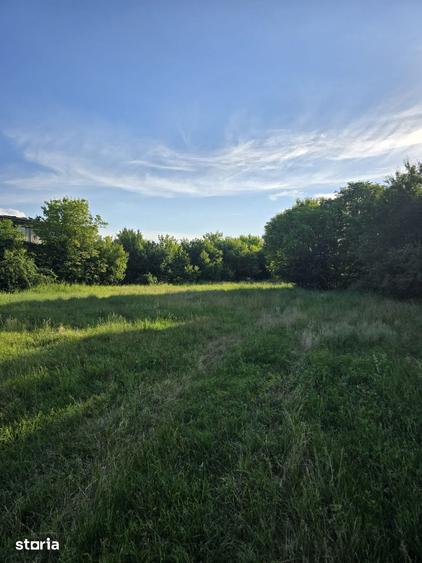 Teren de 8500 mp, în Central
