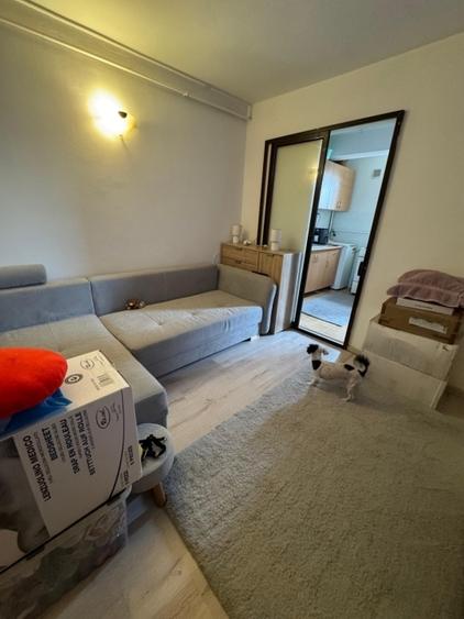 Garsonieră semidecomandată, mobilată în Alexandru cel Bun