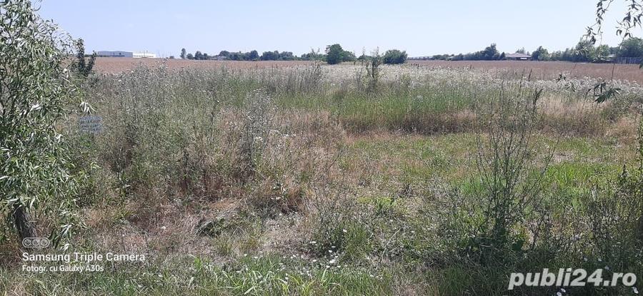 Teren de 5000 mp, în Balotești