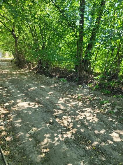 Teren în Stațiunea Climaterică Sâmbăta