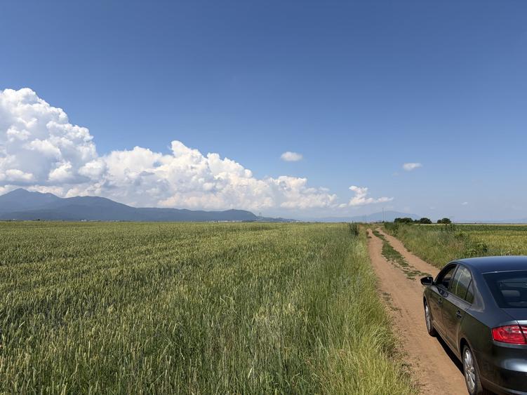 Teren agricol extravilan de 4300 mp, în Tărlungeni