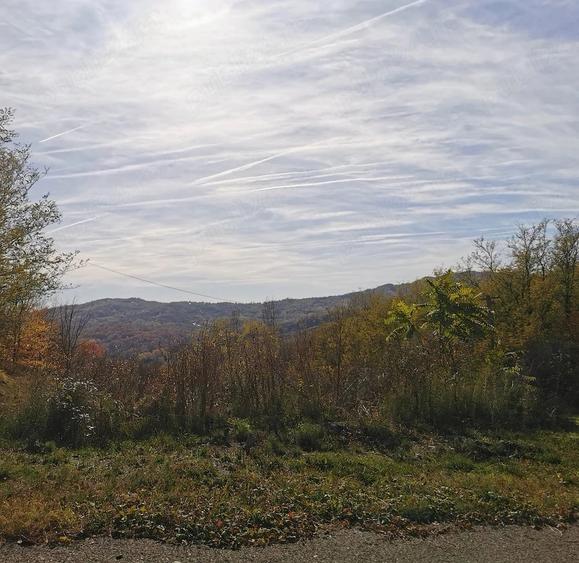 Teren de 2500 mp, în Vitioara de Sus