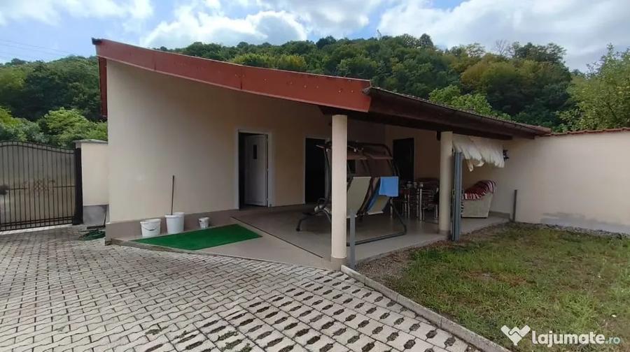 Reprezentare Exclusiva Proprietate deosebita, la 30 de minute de Dev - 15