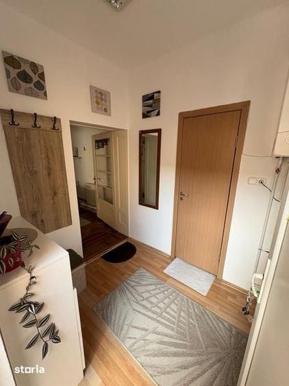 De inchiriat Apartament cu o camera ultracentral - 5