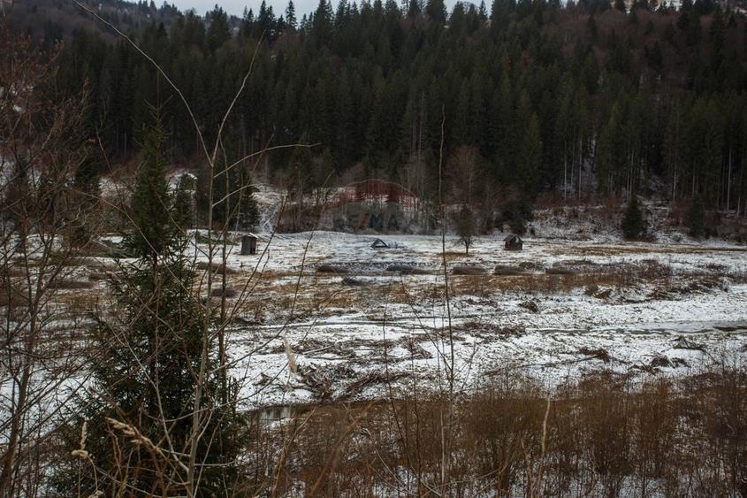 Teren intravilan de 49000 mp, în Borca