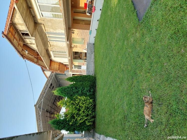 Apartament cu 2 camere decomandat în Dobra