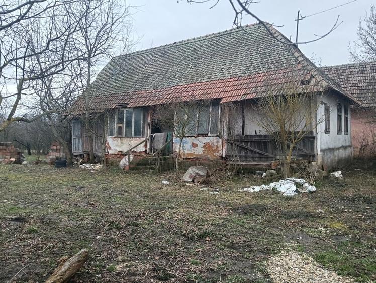 Casă individuală cu 2 camere cu Teren 2665 Mp în Șemlacu Mare