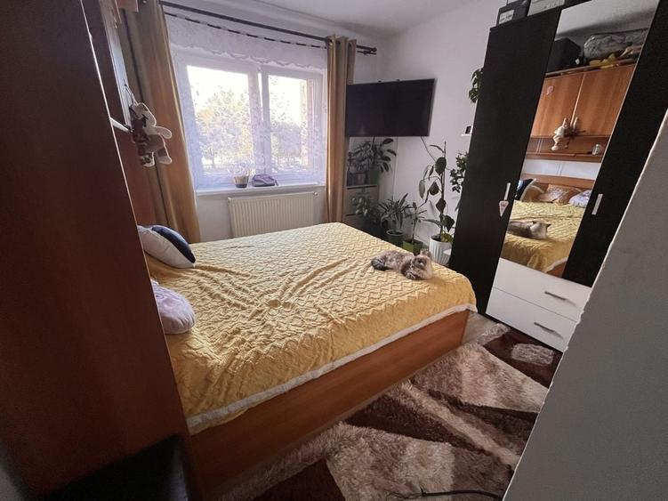 Apartament micro 3 - 5