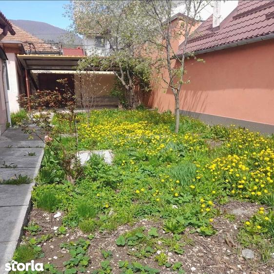 Casa - 3 camere - Codlea - 6