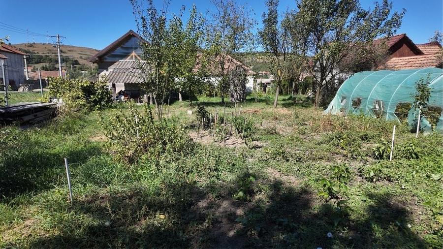 Casă cu 3 camere în Central