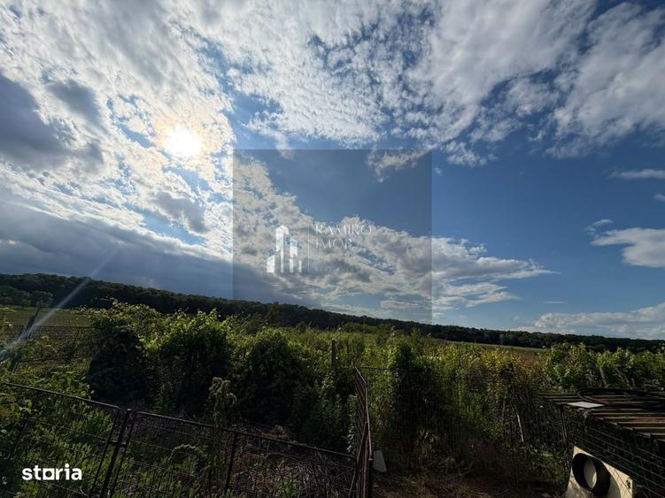 Casă cu 4 camere cu Teren 5000 Mp în Puchenii Mari