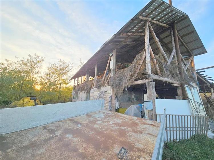 Teren agricol extravilan de 10000 mp, în 9 Mai