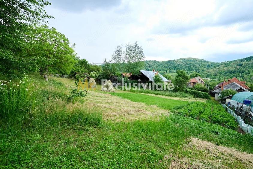 Casă cu 3 camere cu Teren 4696 Mp în Central