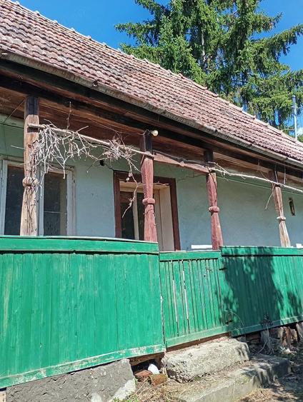 Casă cu Teren 1700 Mp în Budiu Mic